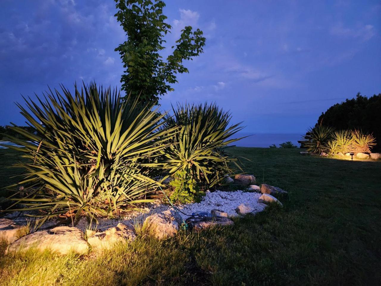 Private Villa 102 With Heated Pool In Blacksearama Balchik Eksteriør billede